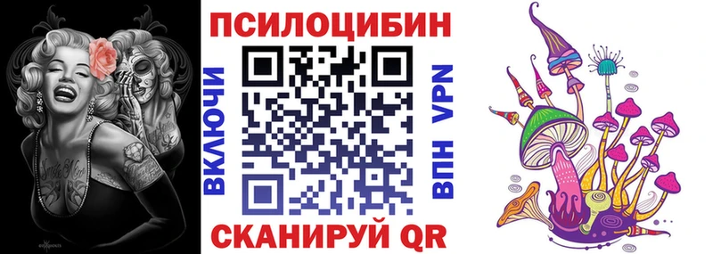 Псилоцибиновые грибы Psilocybe  мега как войти  Пестово 
